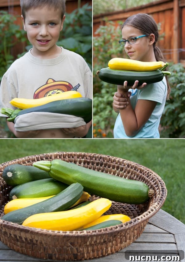Stuffed Zucchini Boats with Savory Picadillo Filling 4 muy bueno garden