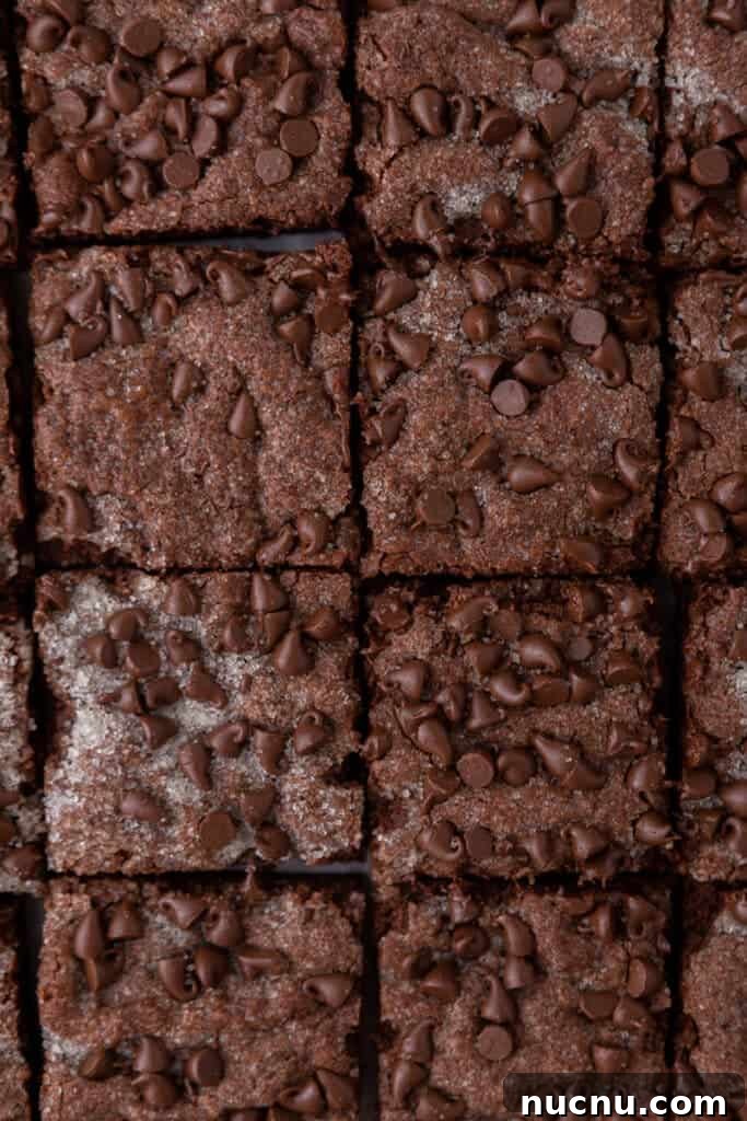Chewy Chocolate Sugar Cookie Bars Recipe for Chocolate Lovers 2 chocolate sugar cookie bars recipe cut into squares