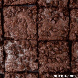 Chewy Chocolate Sugar Cookie Bars Recipe for Chocolate Lovers 12 chocolate sugar cookie bars recipe cut into squares