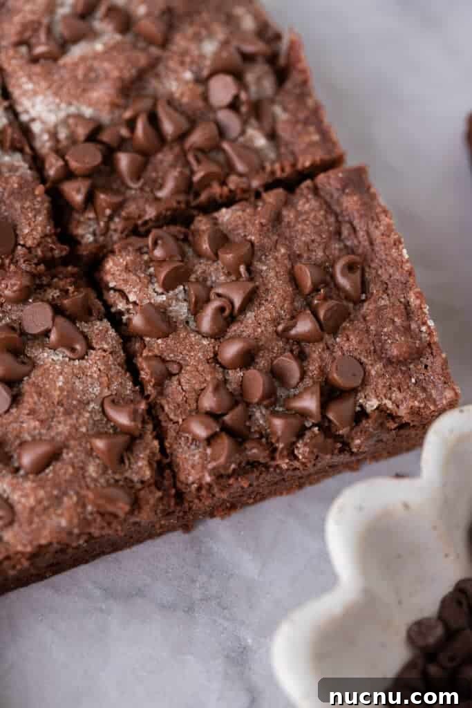 Chewy Chocolate Sugar Cookie Bars Recipe for Chocolate Lovers 8 close up of the chocolate sugar cookie bars recipe