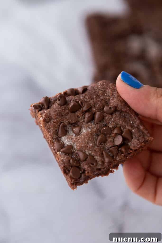 Chewy Chocolate Sugar Cookie Bars Recipe for Chocolate Lovers 9 close up of the chocolate sugar cookie bars recipe being held up by a hand