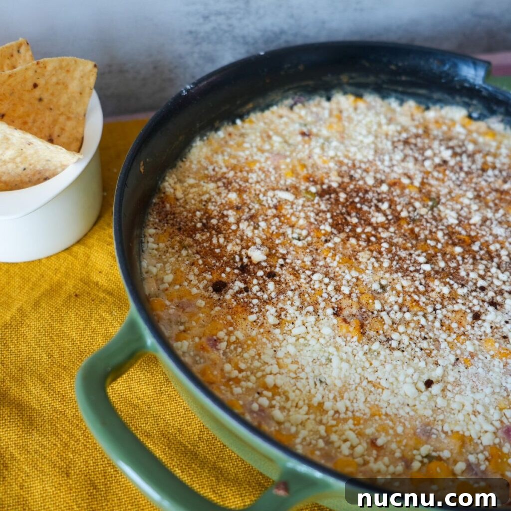 Mexican Street Corn Dip (Elote Dip Recipe + Video) 6 img 868 5