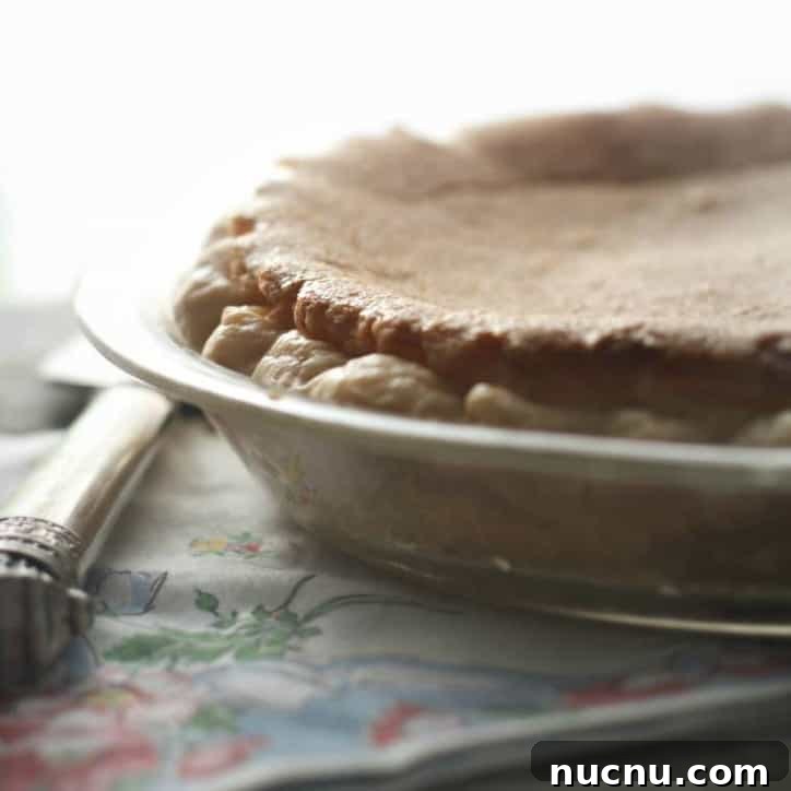 a whole pie from the side with morning light in the background flowered napkin and pie server