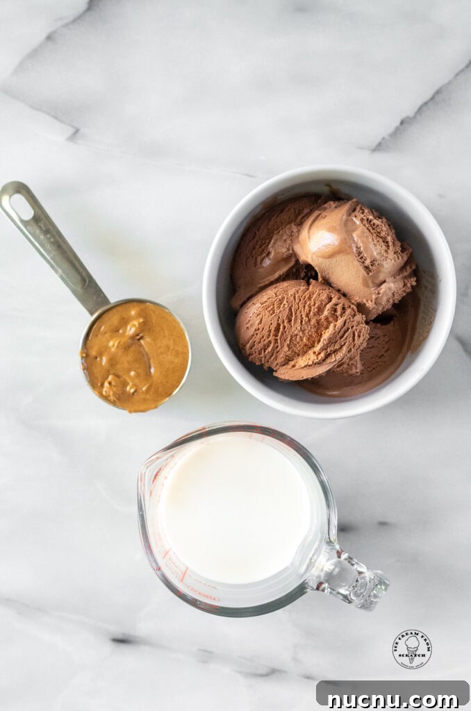 Decadent Chocolate Peanut Butter Milkshake Recipe 3 chocolate ice cream, peanut butter, and milk in bowls
