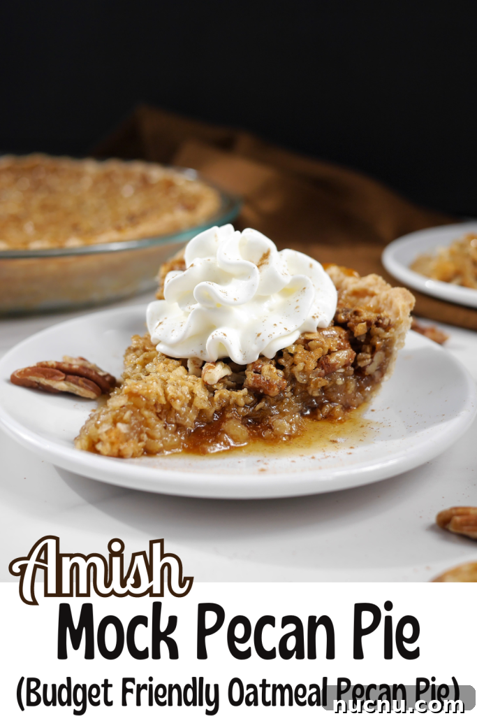 Amish-Style Mock Pecan Pie (Oatmeal Pecan Pie) 7 img 9269 6