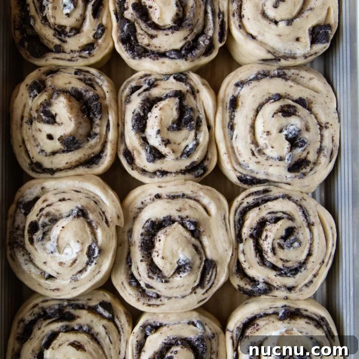 Cookies and Cream Roll Recipe: Decadent No-Bake Dessert 11 proofed cookies and cream yeast rolls.
