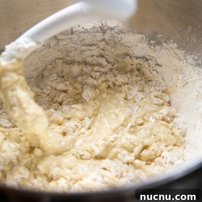Cookies and Cream Roll Recipe: Decadent No-Bake Dessert 6 use dough hook attachment to mix together wet and dry ingredients.