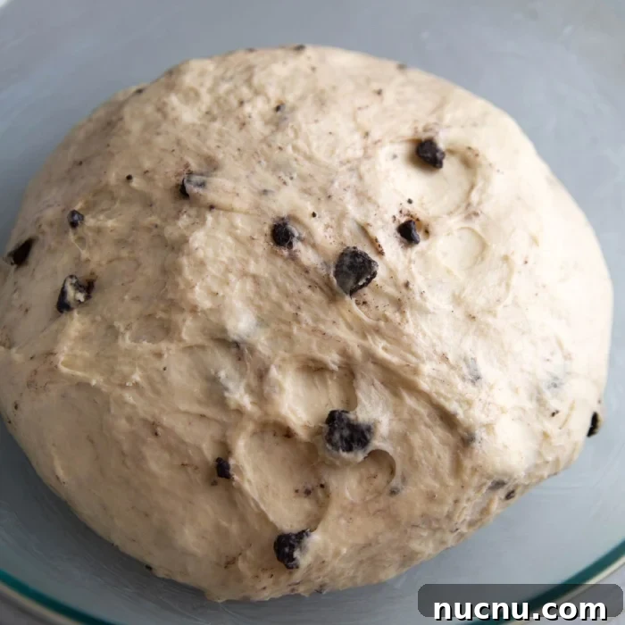 Cookies and Cream Roll Recipe: Decadent No-Bake Dessert 8 rested dough studded with chopped oreo cookies in bowl.