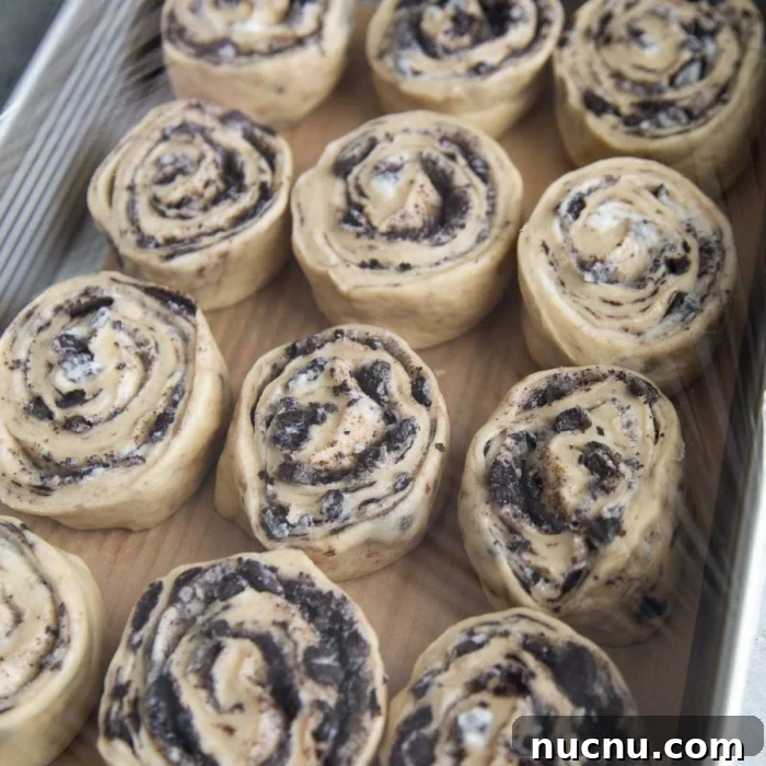 Cookies and Cream Roll Recipe: Decadent No-Bake Dessert 10 place cut rolls in a baking dish to rest and rise.
