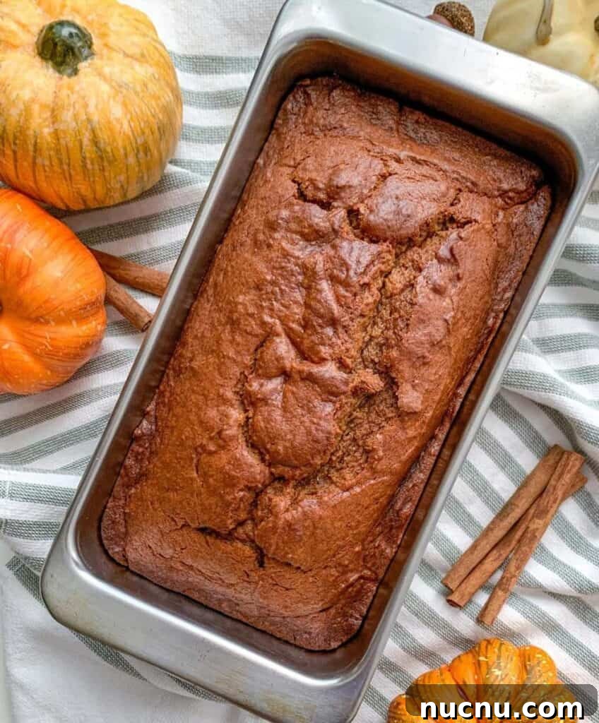 Authentic Boston Brown Bread Recipe: Steamed New England Classic 16 Perfect Simple Downeast Maine Pumpkin Bread for fall