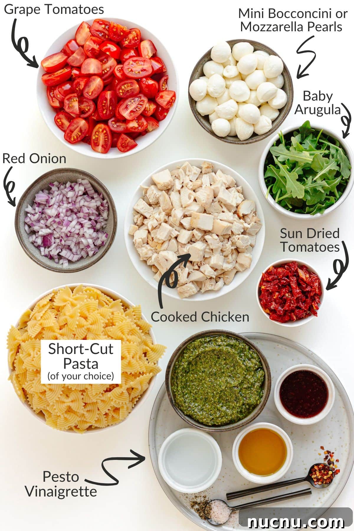 Creamy Chicken Pesto Pasta Salad with Sun-Dried Tomatoes 4 Labelled photo of chicken pesto pasta salad ingredients.